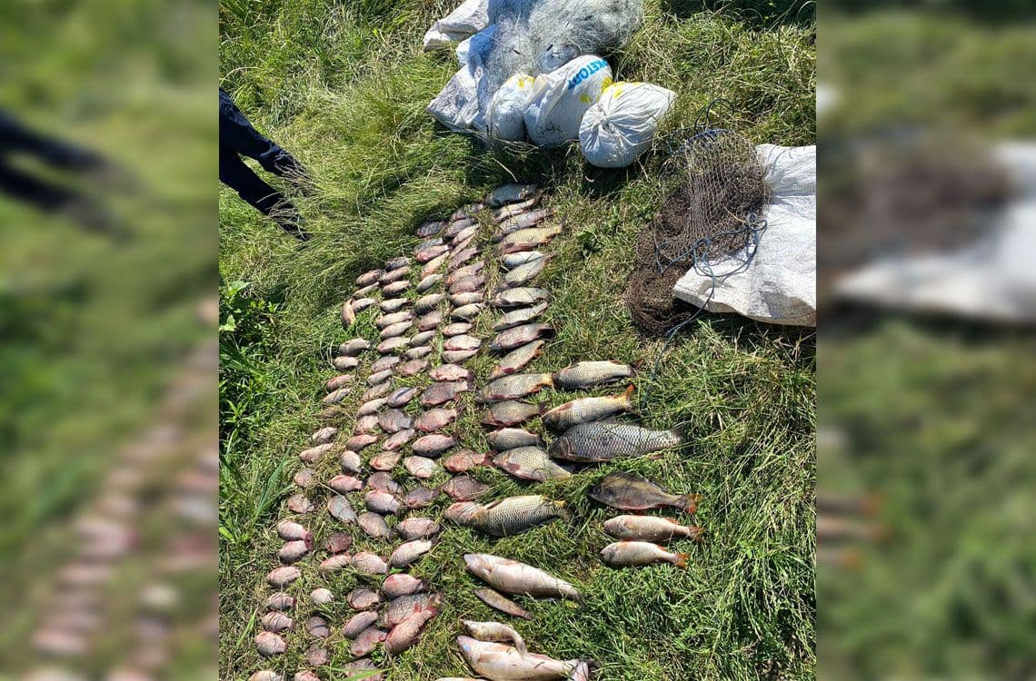 На Полтавщині у чоловіка вилучили 40 кілограмів викраденої риби
