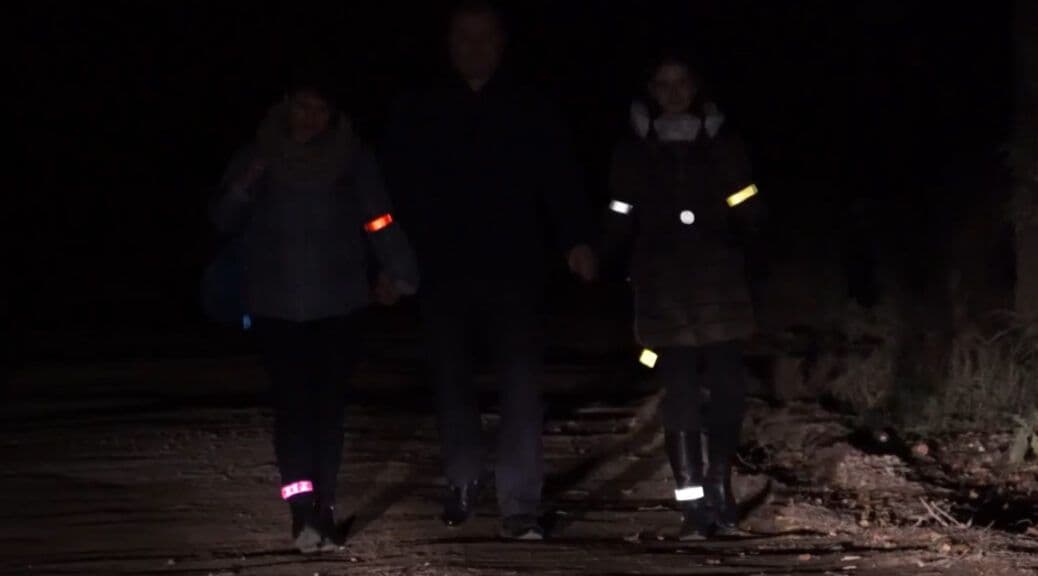 Полтавщина в темряві: кілька простих правил, щоб не загинути під колесами авта