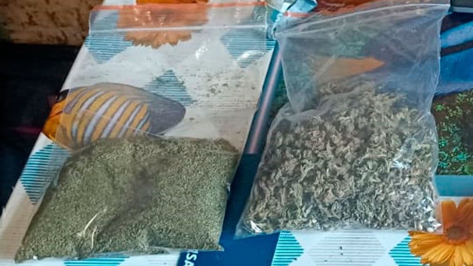 У Полтаві затримали двох наркозакладчиків