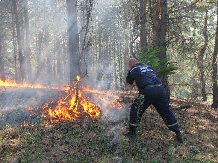 На Полтавщині найвищий клас пожежної небезпеки: що заборонено