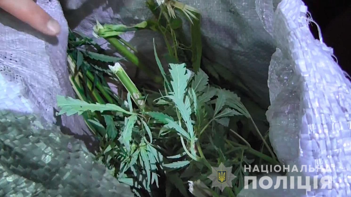 Перевозив велосипедом мішки з коноплями: на Полтавщині судитимуть чоловіка