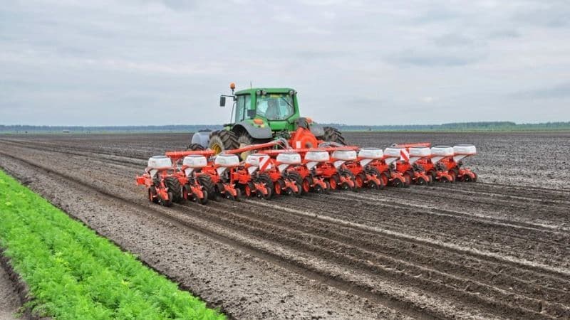 На Полтавщині вже засіяли понад 70 тисяч гектарів ранніх зернових культур