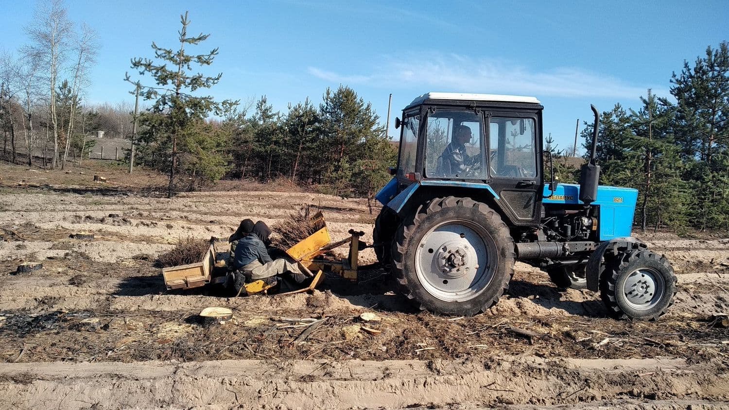 На Полтавщині висадили понад 120 гектарів лісу