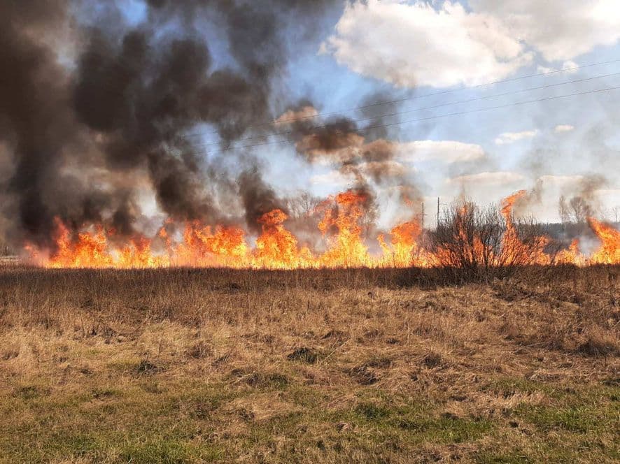 На Полтавщині протягом доби вигоріло 108 гектарів сухої трави