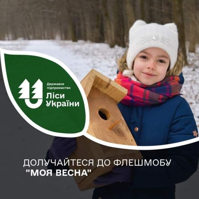 Полтавські лісівники запрошують долучитися до флешмобу «Моя весна»
