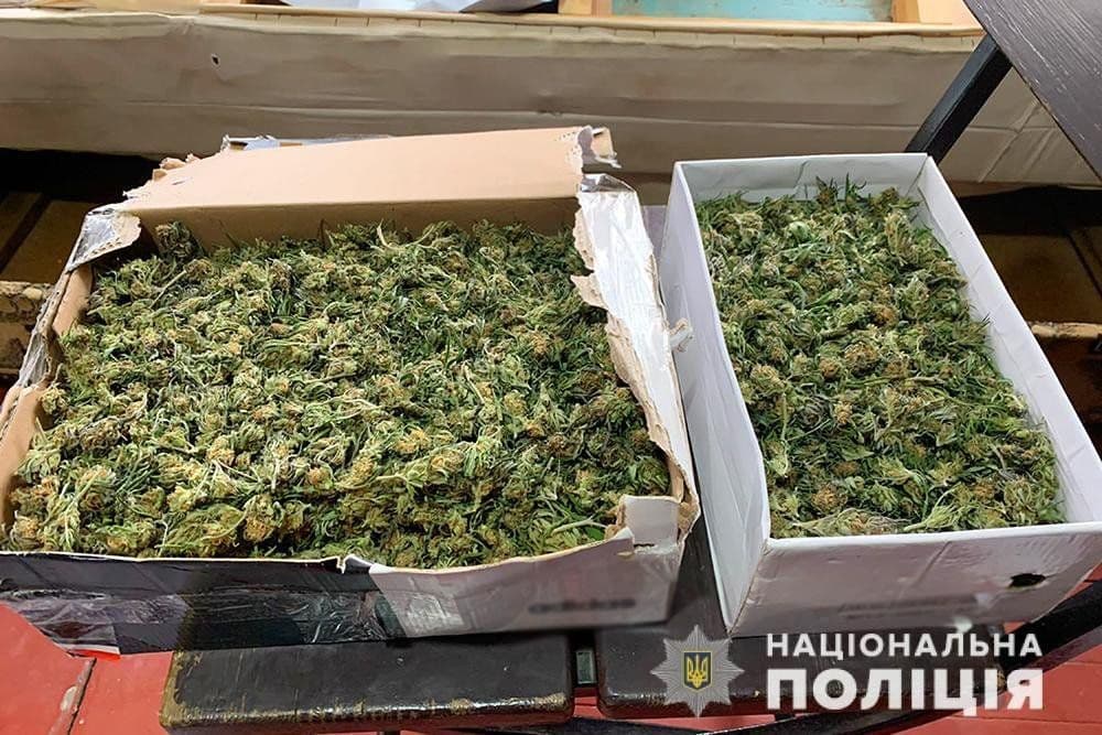 У жителя Кременчука вилучили наркотиків майже на мільйон гривень