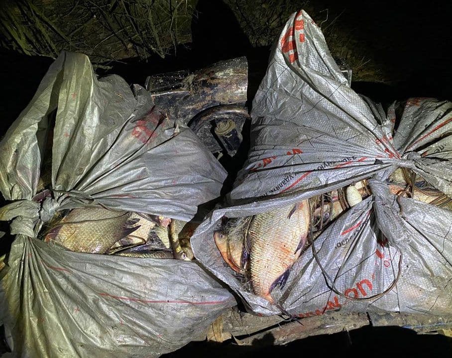 Чоловік з Полтавщини незаконно наловив риби на два мільйони гривень