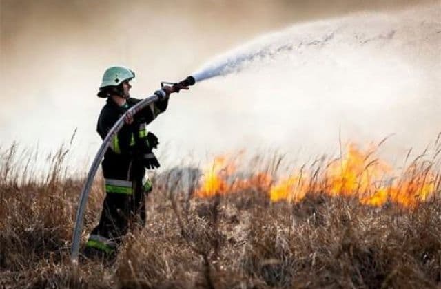 Палії сухостою на Полтавщині отримали 15 діб громадських робіт
