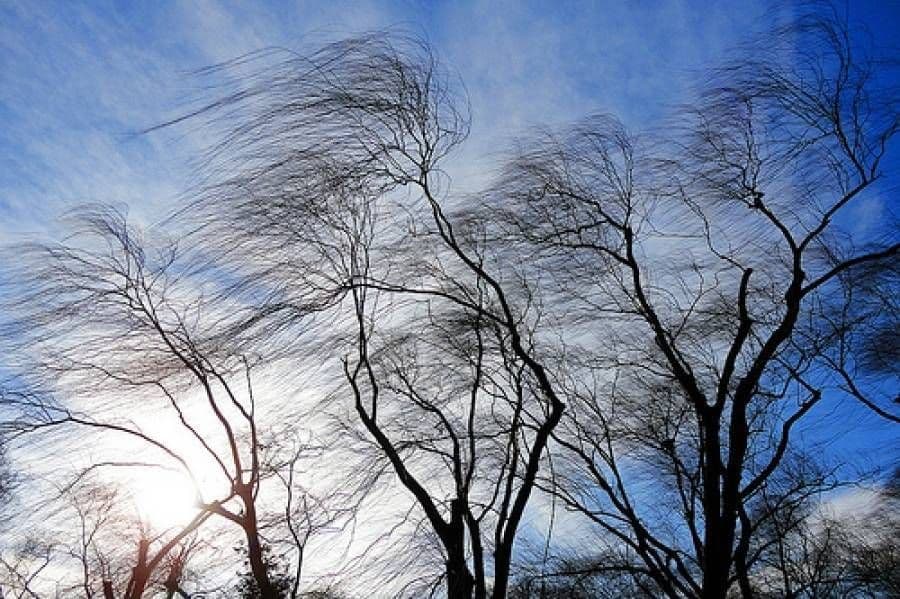 Через пориви вітру на Полтавщині оголосили жовтий рівень небезпеки