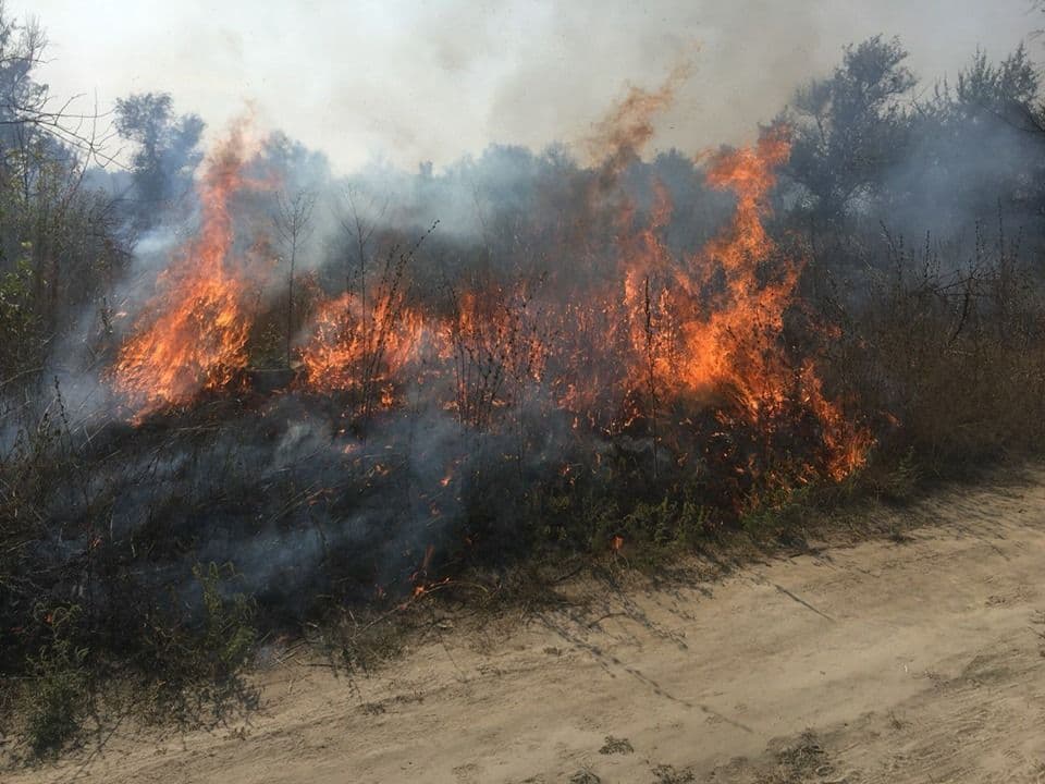 Рятувальники Полтавщини більше трьох годин гасили пожежу