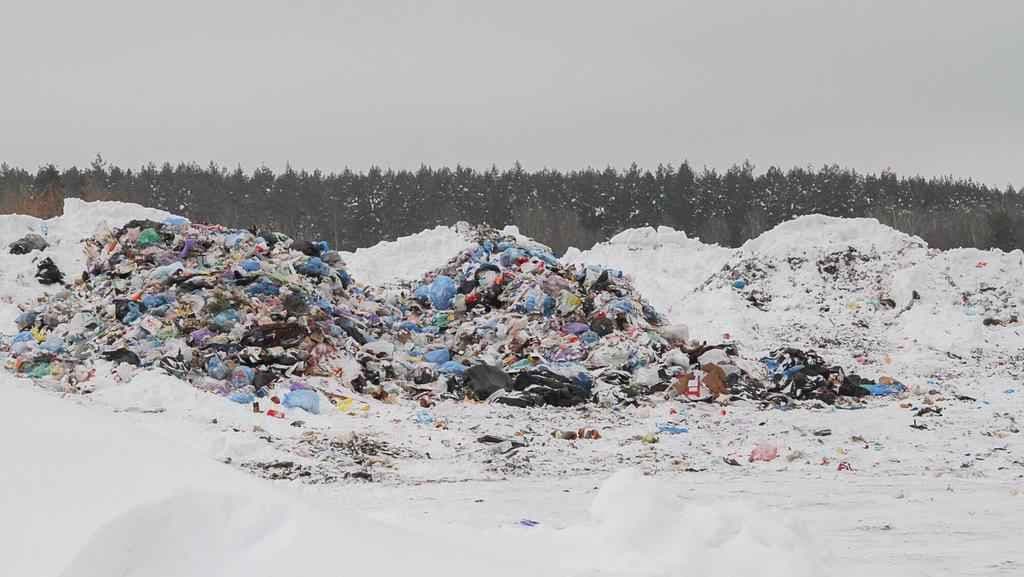На звалищі під Полтавою хочуть встановити аудіосистему для відлякування птахів