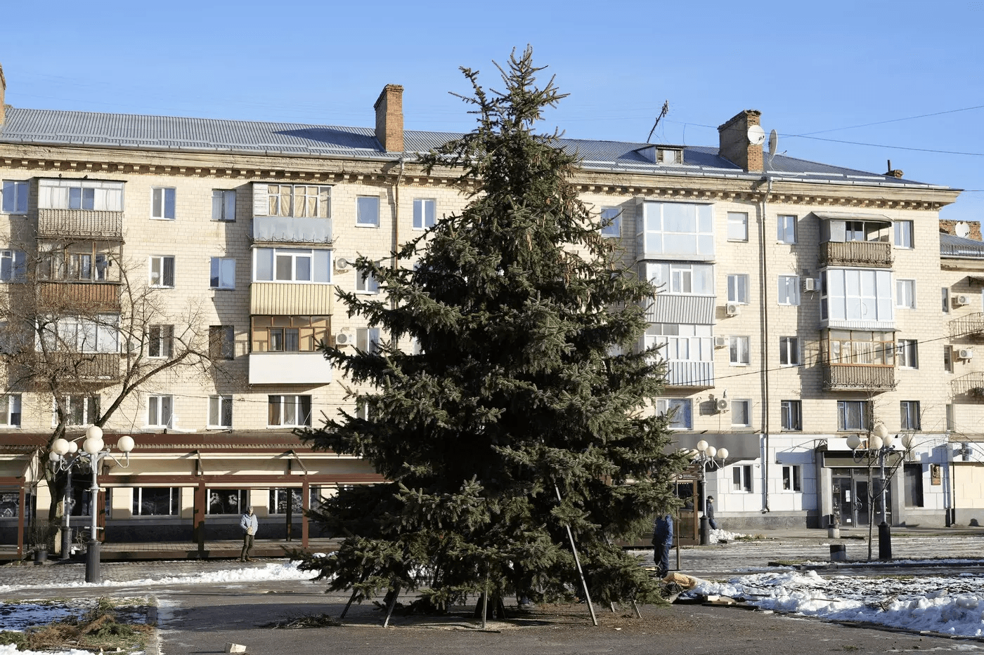 За ялинку в Полтаві заплатять місцеві підприємці