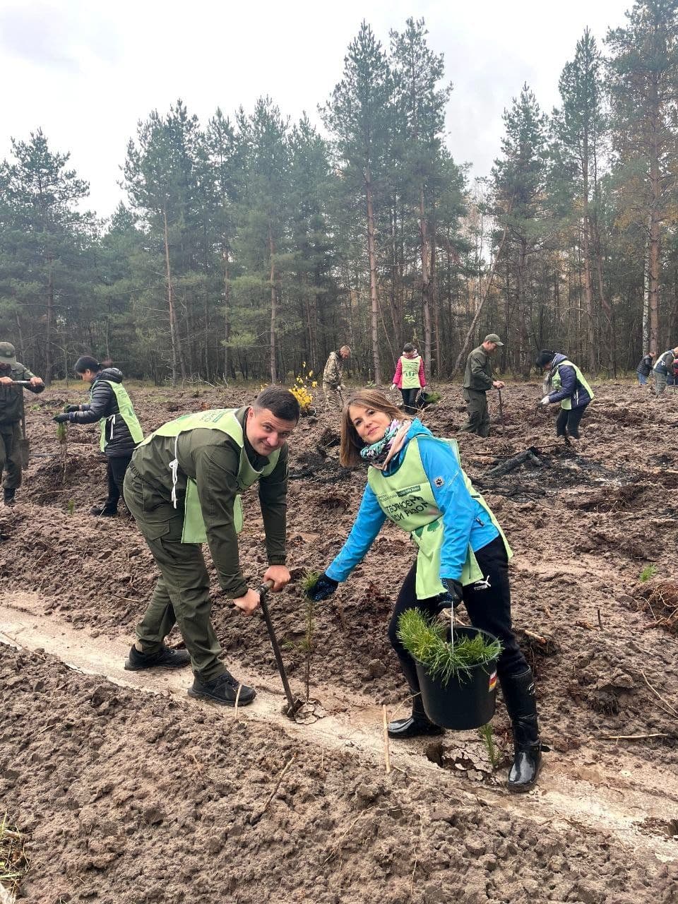 На Миргородщині висадили майже гектар лісу