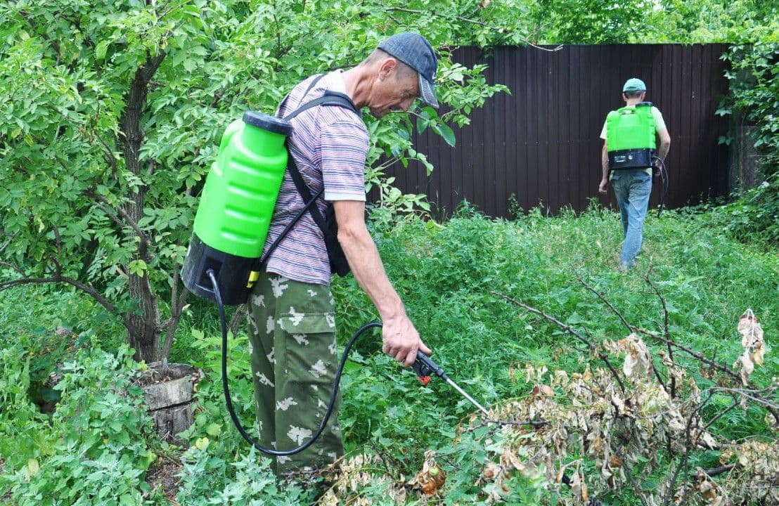 Цьогоріч у Полтаві на боротьбу з амброзією планують витратити майже 8 млн грн