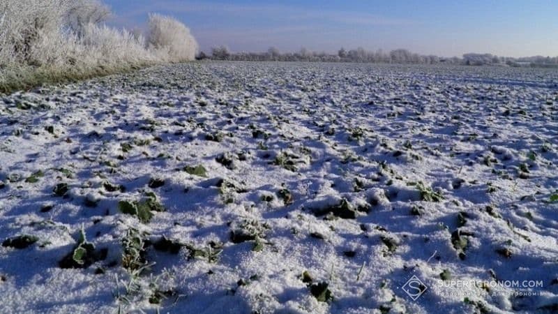 Гімназії на Полтавщині повернули землі вартістю понад 41 млн грн