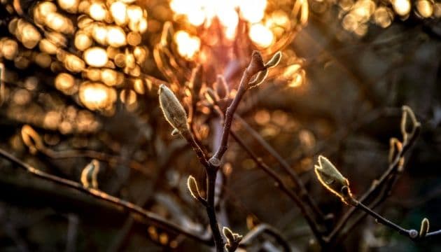 Якою буде погода на вихідні в Полтавській області