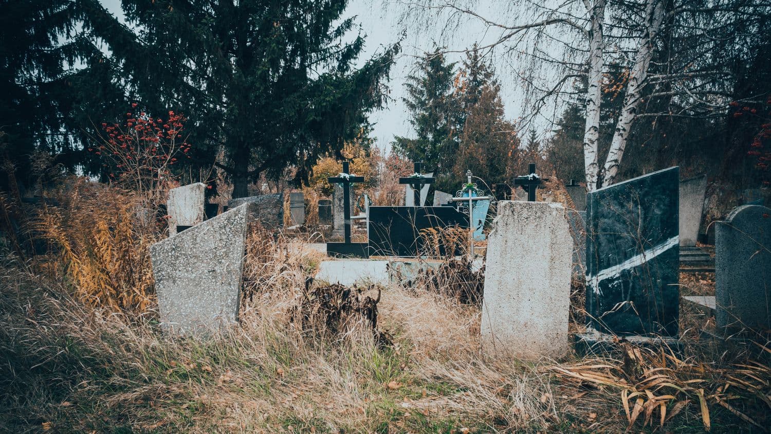Комунальне похоронне підприємство витратить мільйон на прибирання сміття на кладовищах