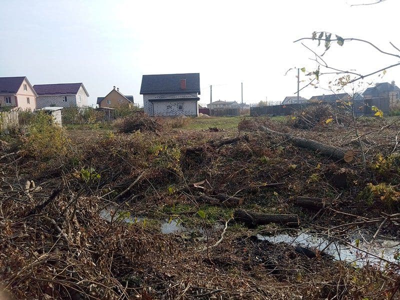 У Полтавському районі зниклу жінку знайшли мертвою у балці