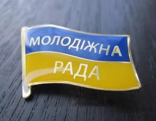 У Полтаві затвердили склад Молодіжної ради