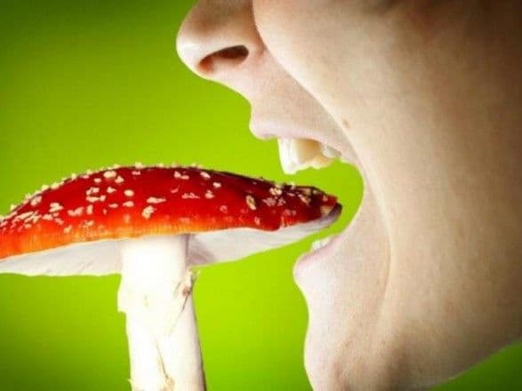 Отруйна Лохвиччина. Після збирання грибів – до лікарні