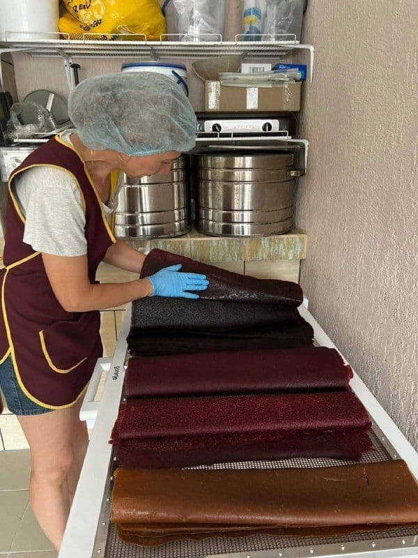 На Полтавщині запрацював міні цех з переробки овочів та ягід