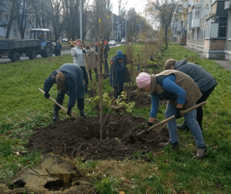 У Полтаві комунальники висадили нові тополі