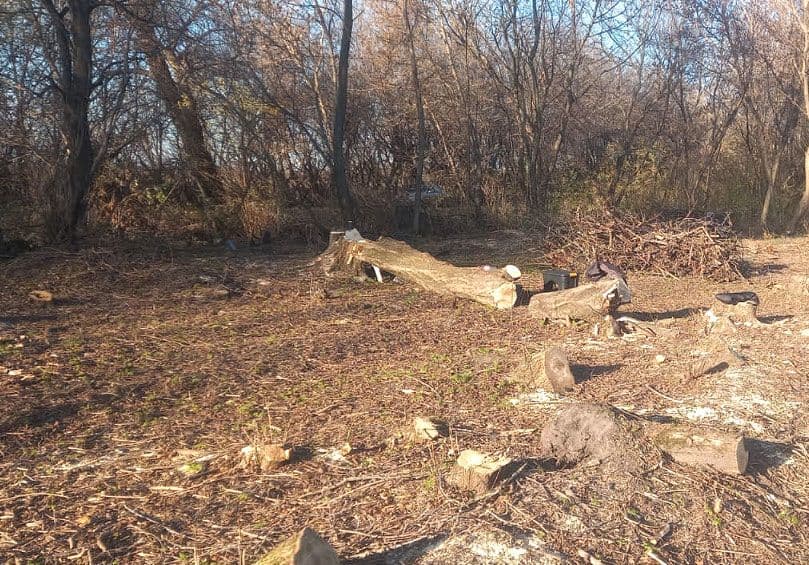 У Градизькій громаді затримали чоловіків, які вирубували ліс