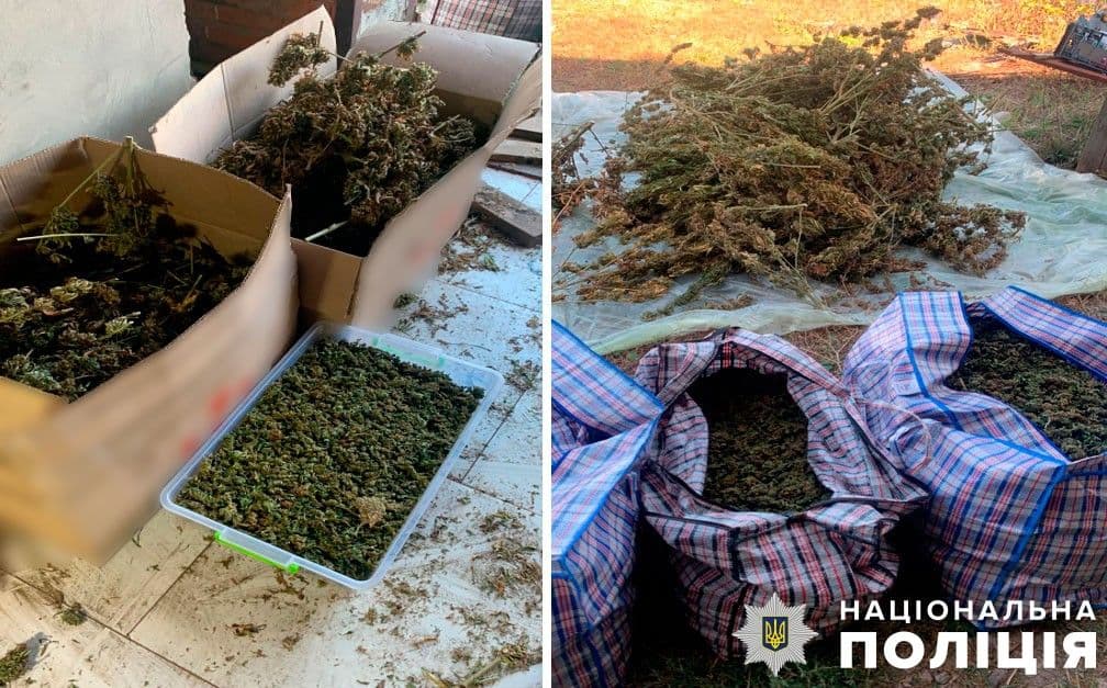 У жителя Полтавщини знайшли понад 80 кілограмів канабісу