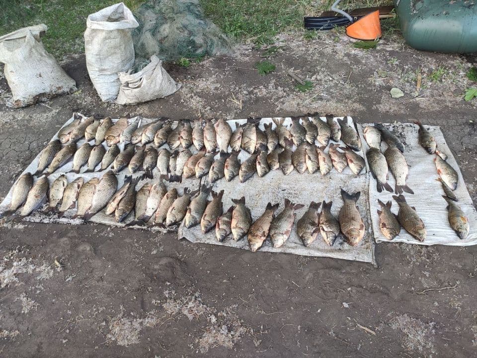 На Полтавщині чоловік наловив риби на понад 134 тисячі гривень