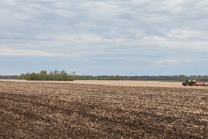 На Полтавщині судитимуть жінку, яка незаконно присвоїла компанії землю вартістю понад 10 млн грн