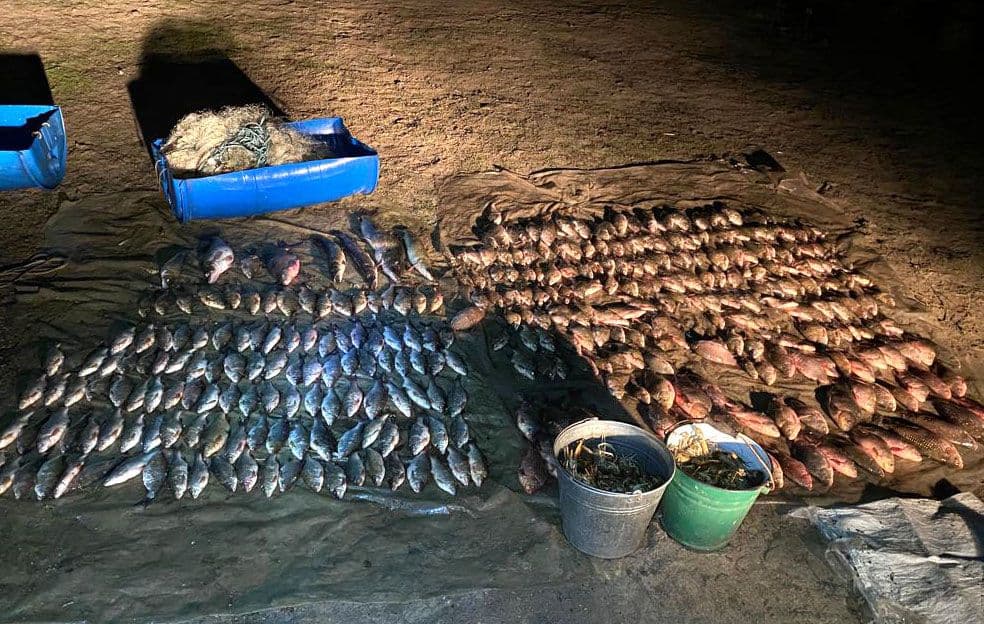 На Полтавщині спіймали браконьєра з уловом на понад мільйон гривень