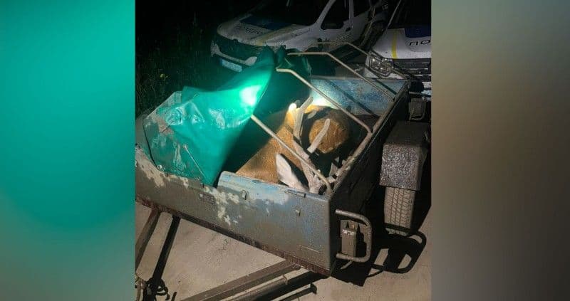 На Полтавщині поліція переслідувала браконьєрів з убитим оленем
