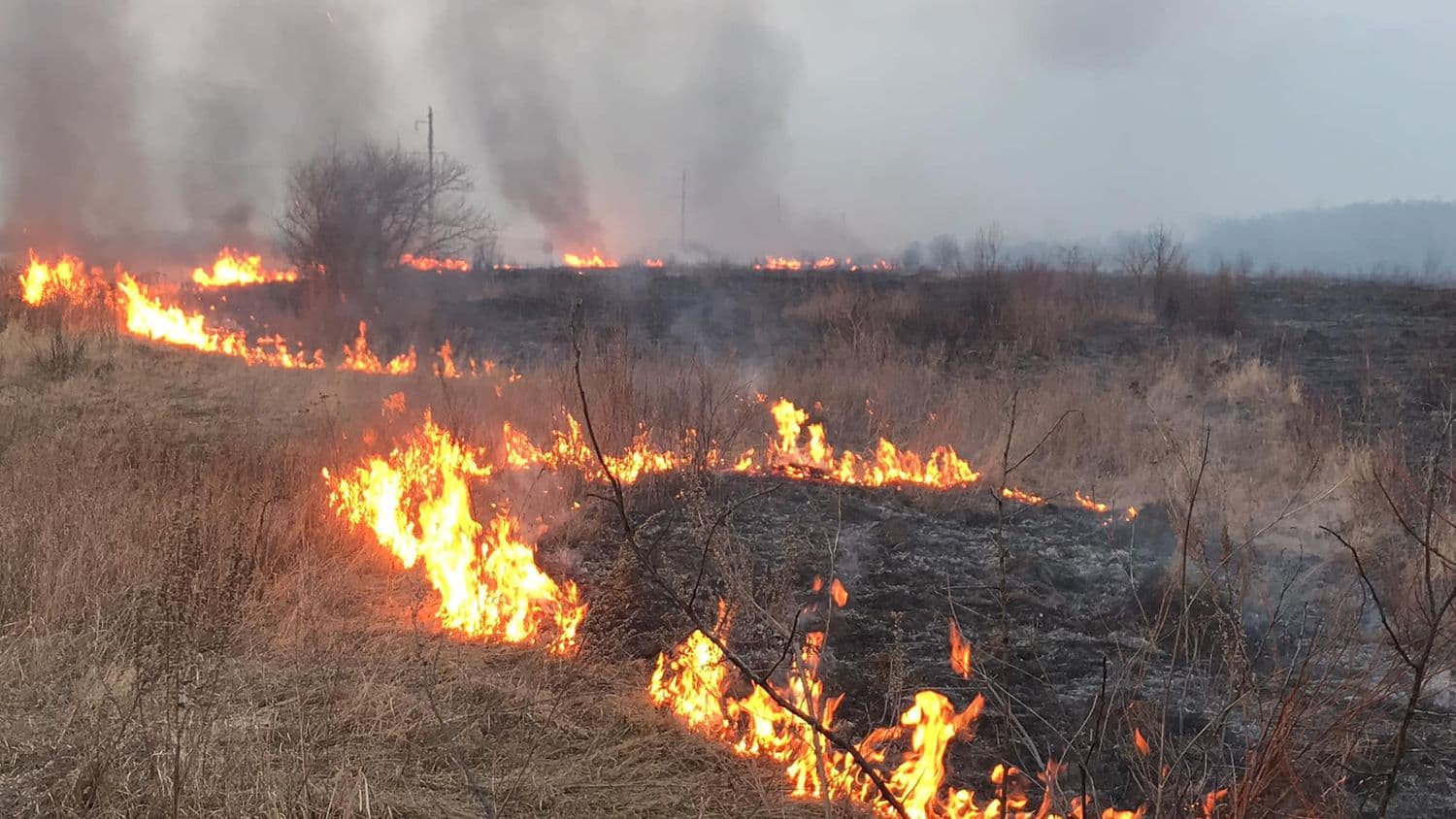 За добу на Полтавщині вигоріло понад 10 гектарів сухостою