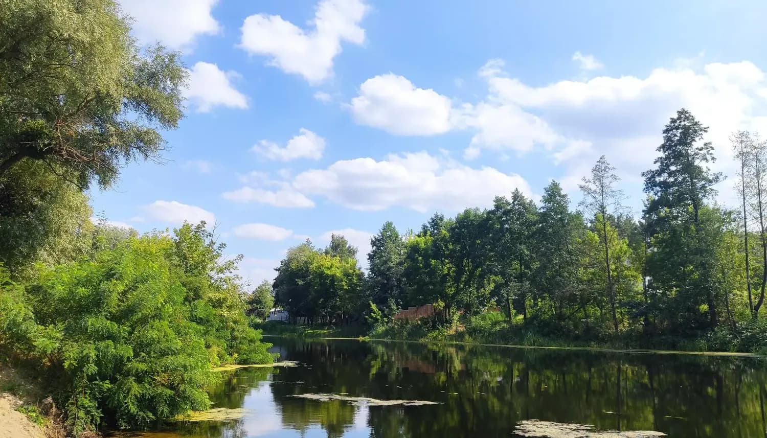 Перші вихідні літа на Полтавщині будуть теплими