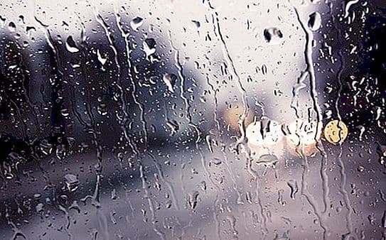 У Полтаві різко задощить та похолодає: на коли готувати парасольку