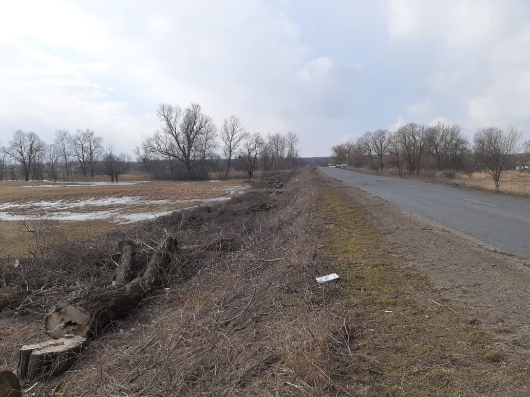У Полтавському районі зрубали дерева на понад 3 мільйони гривень