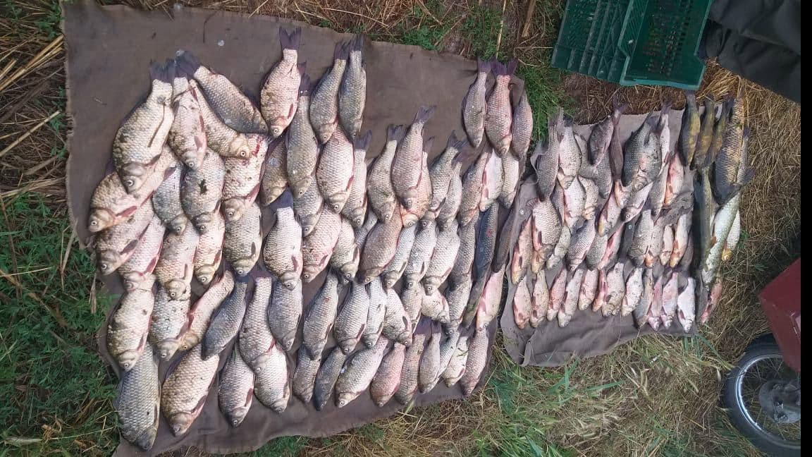 За липень на Полтавщині браконьєри завдали збитків на понад 900 тисяч
