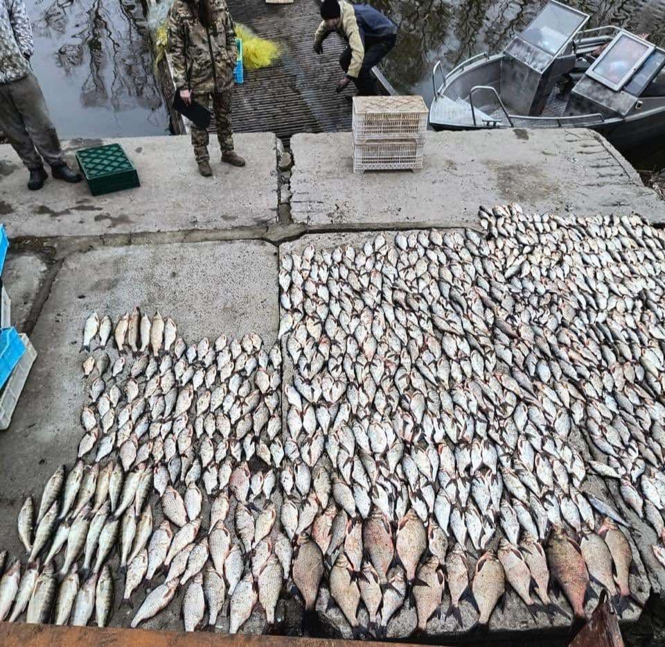 На Полтавщині браконьєри виловили риби на 6,5 мільйонів гривень