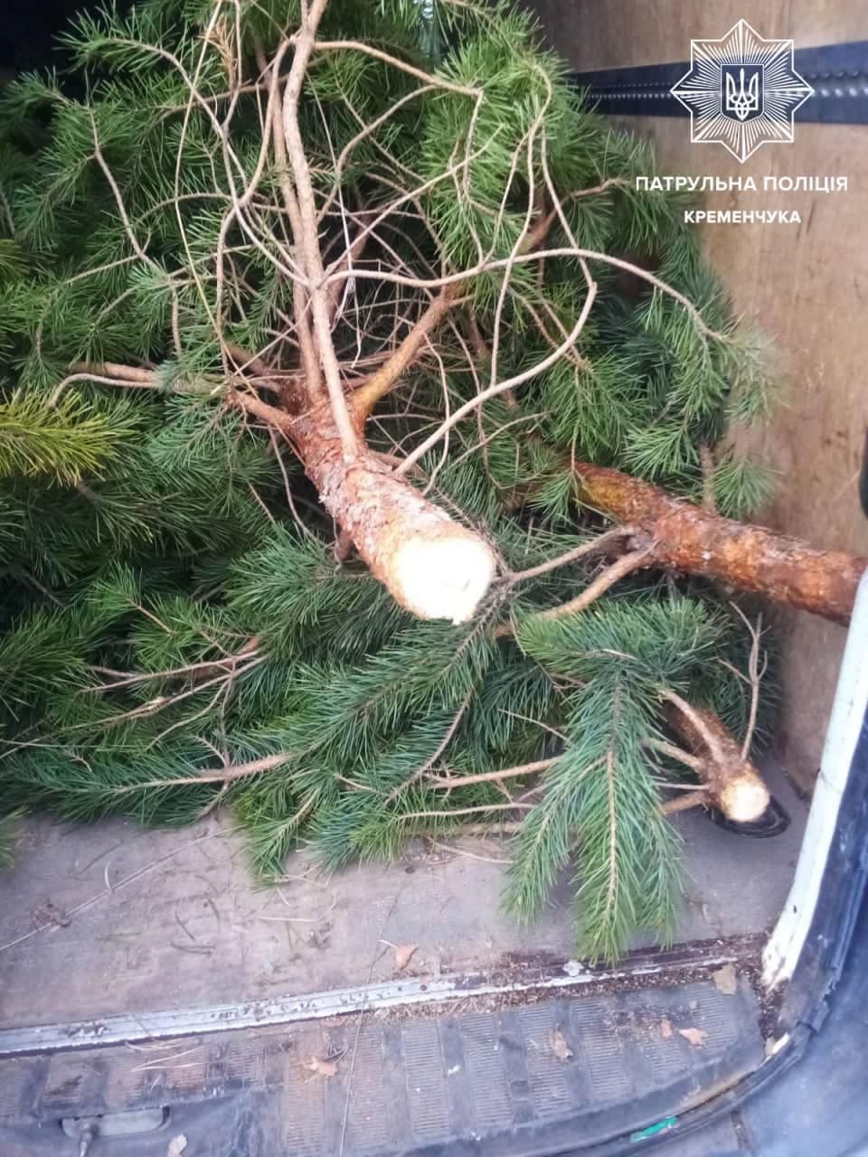 У Кременчуці чоловіка впіймали зі зрубаними ялинками