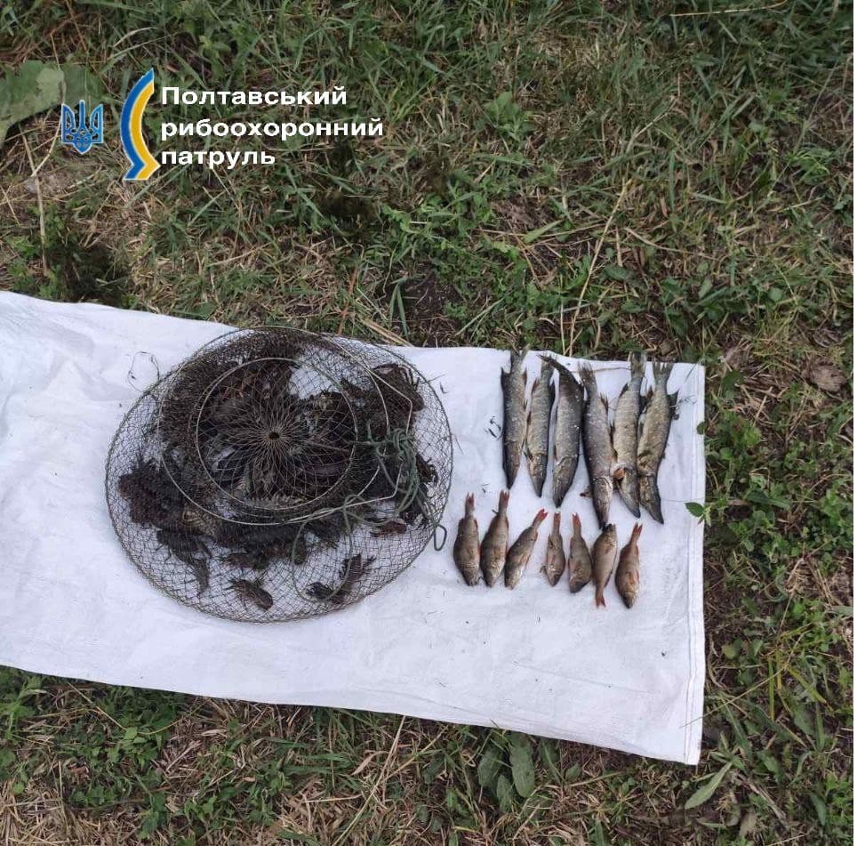 Неподалік Карлівки чоловік у заборонений спосіб наловив риби на майже 230 тисяч