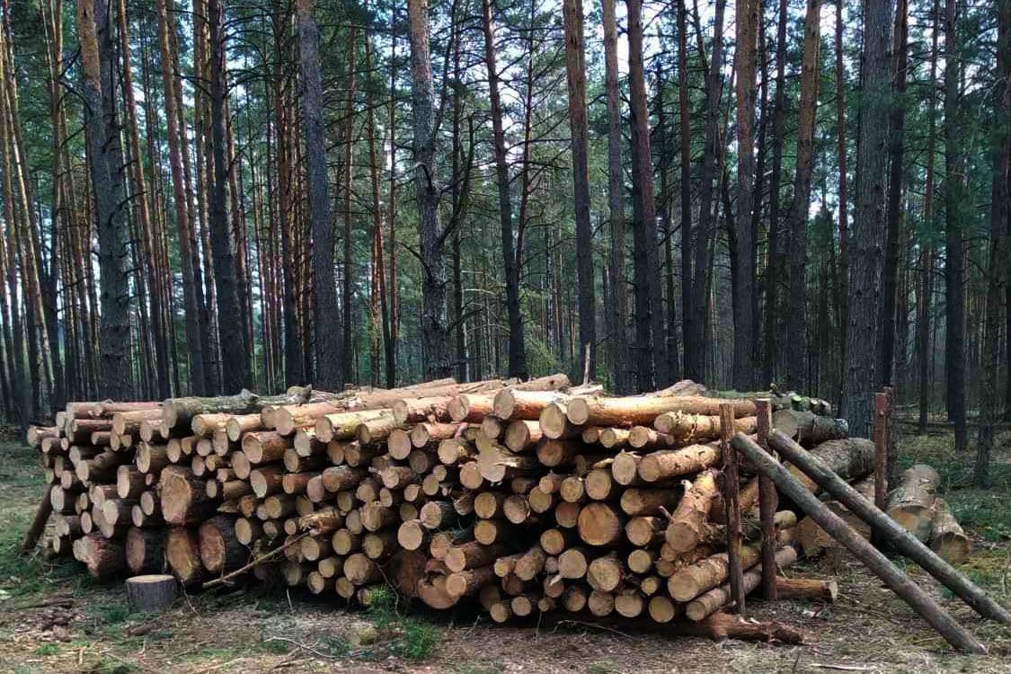 Полтавські лісгоспи оприлюднили ціни на закупівлю деревини на опалювальний сезон