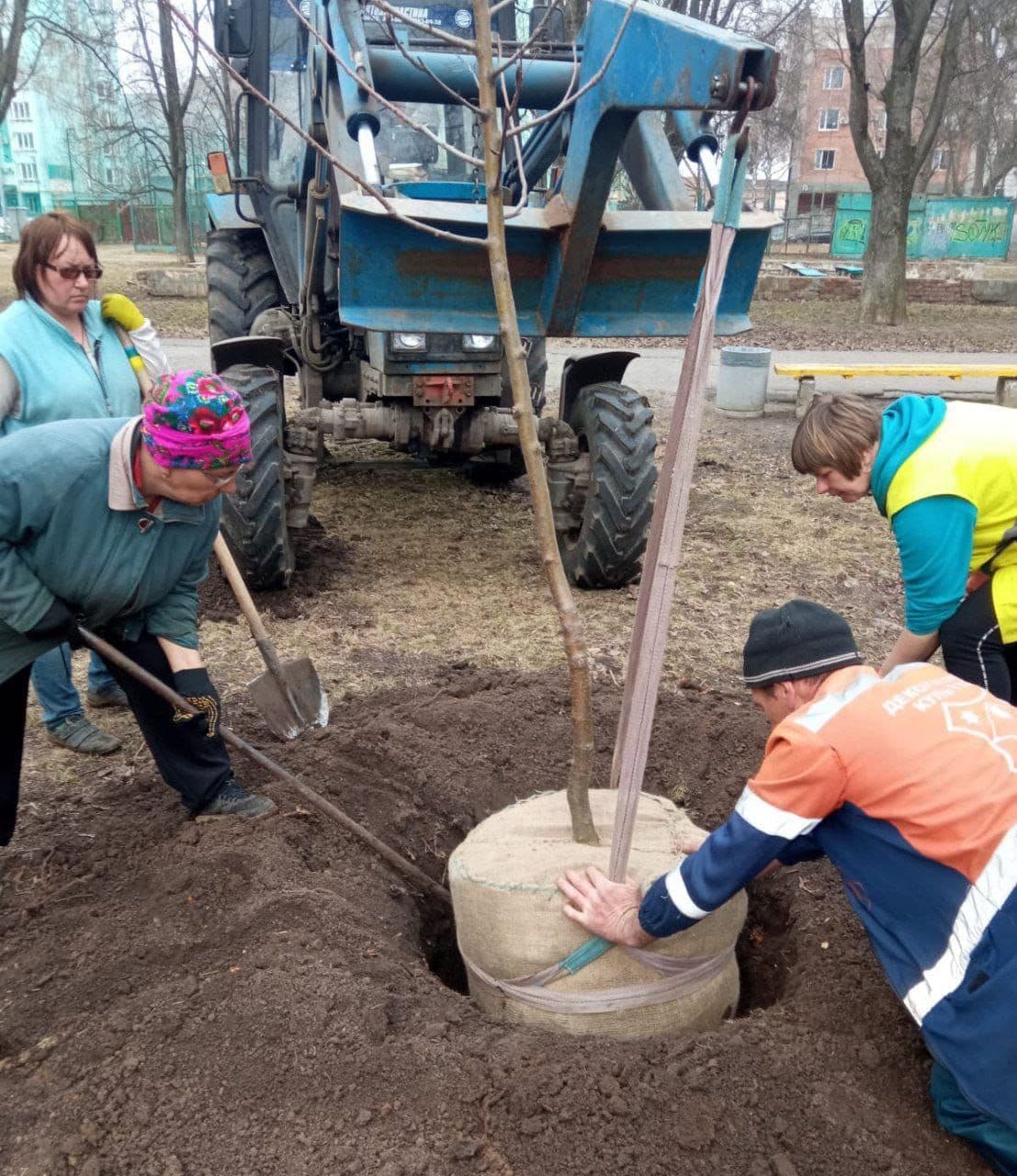 «Дорослих» дерев саджатимуть більше: у Полтаві виділили чотири мільйони на техніку
