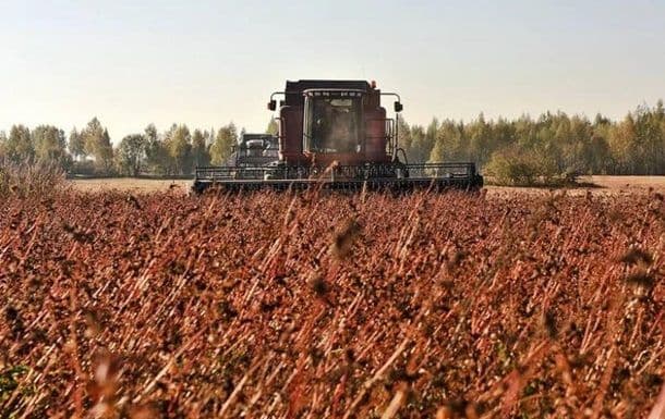 У Полтавській області завершують збір пізніх зернових культур