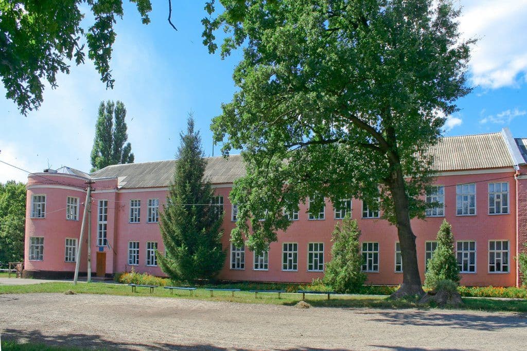 Грім серед ясного неба. У Сухорабівці закривають школу — всі «за» та «проти»
