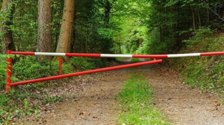 На Полтавщині з 25 березня заборонили відвідувати ліси