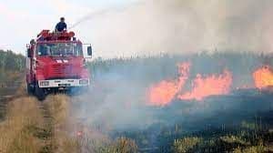 Пожежна небезпека: рятувальники ліквідували 4 пожежі на відкритій території на Полтавщині