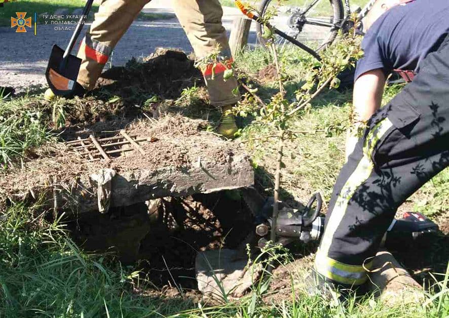 У Полтаві собака впала у колодязь: як рятували (фото)