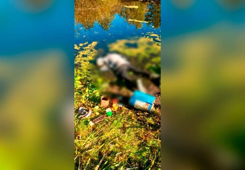 На Полтавщині у ставку знайшли тіло чоловіка