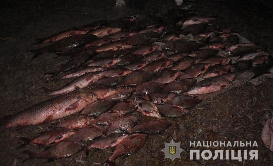 Наловили на 25 тисяч: на Кременчуцькому водосховищі впіймали бракон'єрів