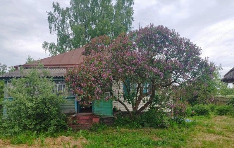 На Полтавщині дві жінки загинули від удару струмом